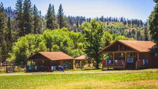 Camper cabins surrounded by trees