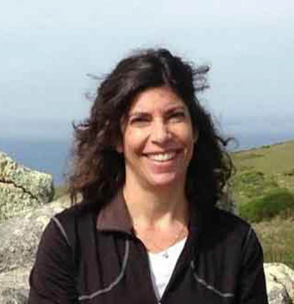 Lisa Wertheim, Development Director